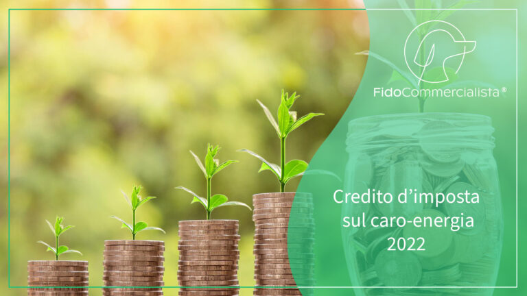 caro energia